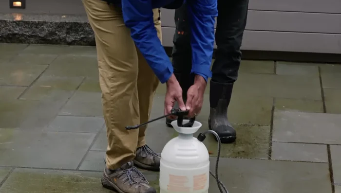 Rinse the patio thoroughly.