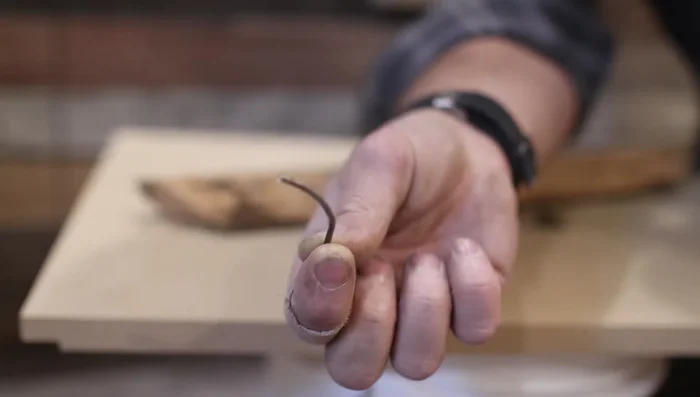 If necessary, use pliers or a nail puller to remove any remaining nail fragments.