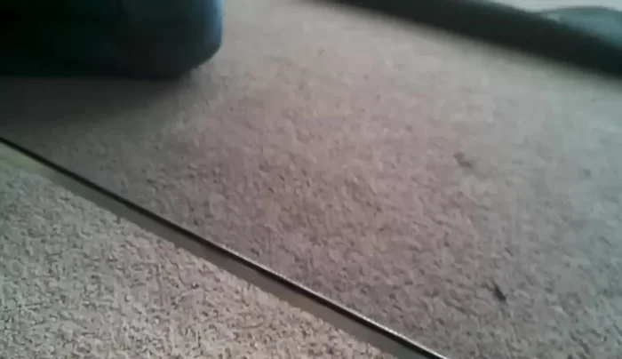 Push the spline all the way in to tighten the screen.