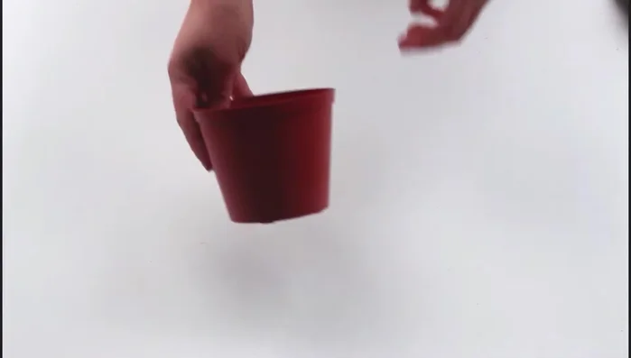 Spray paint the planter completely. Add cardboard to the bottom for drainage.