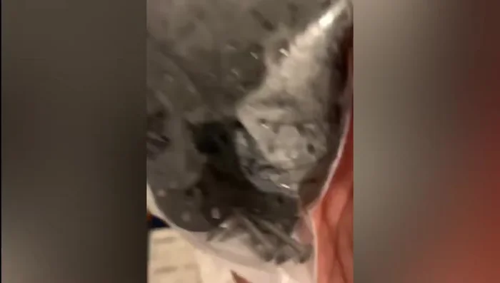 Let it dry for 24-48 hours.