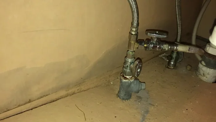 Test the water pressure. 