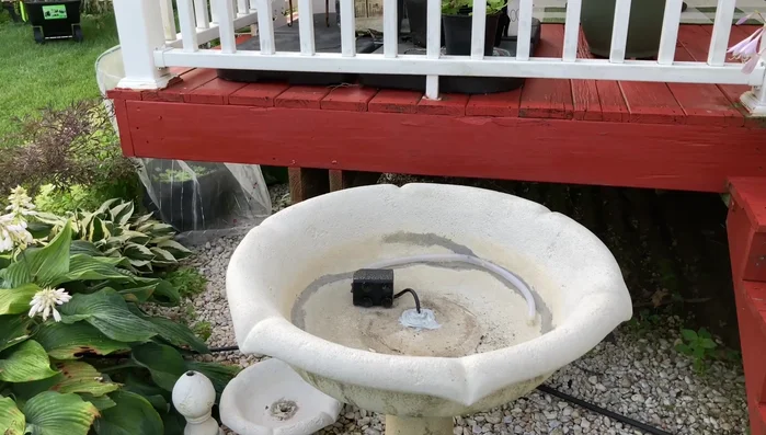 Reassemble the fountain pump.