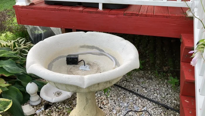 Allow the putty to dry completely.