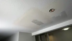 DIY Leaky Ceiling Repair: A Step-by-Step Guide to Fixing Water Damage
