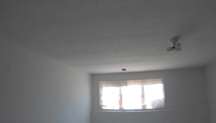 Paint the ceiling (optional).