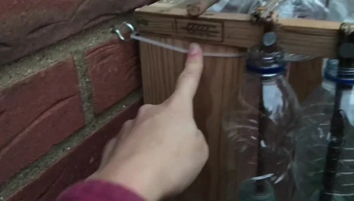 Attach hooks and secure the greenhouse: Add hooks to the wall and attach the greenhouse using cable ties.