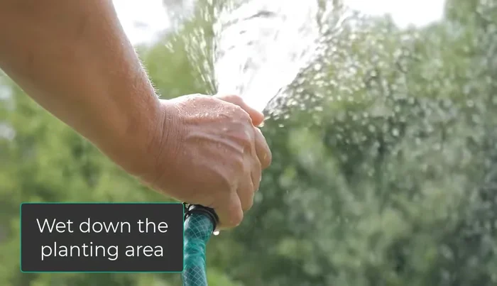 Water the entire area thoroughly.