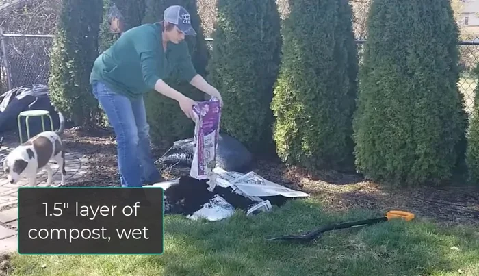 Spread a 1.5-inch layer of compost over the soaked cardboard/newspaper, and water again.