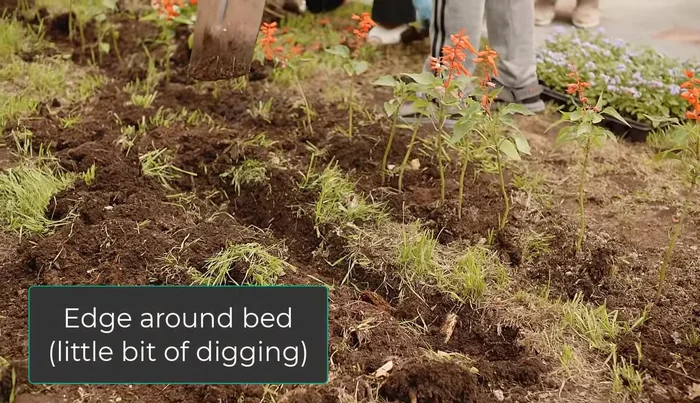 Edge the area with a trench 3-4 inches deep and 8-12 inches wide to contain the soil and mulch.